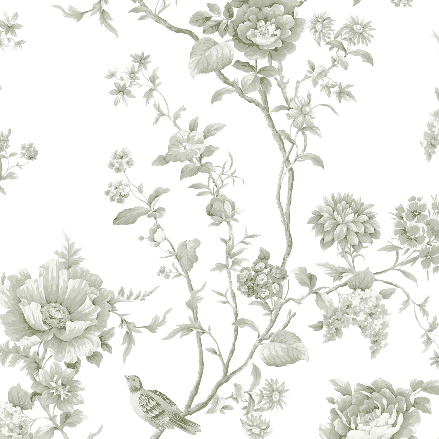 Floral Vine Wallpaper in moss color - pattern number 146808 - by Martha Stewart in the Martha Stewart AW26 collection