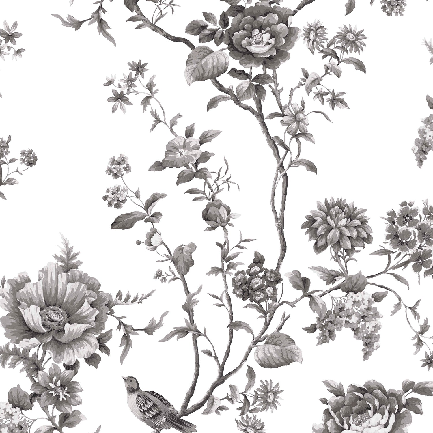 Floral Vine Wallpaper in silhouette color - pattern number 146811 - by Martha Stewart in the Martha Stewart AW26 collection