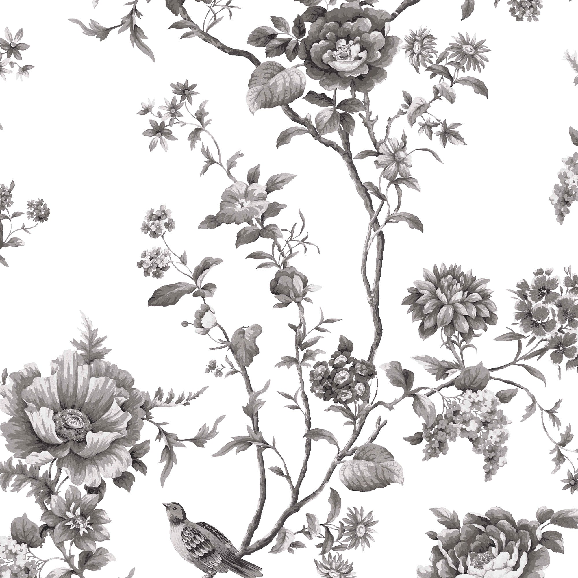 Floral Vine Wallpaper in silhouette color - pattern number 146811 - by Martha Stewart in the Martha Stewart AW26 collection