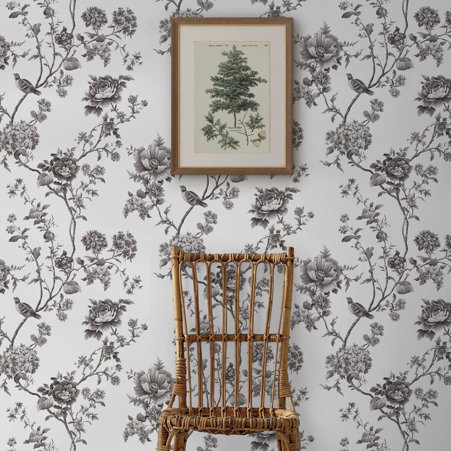 Floral Vine Wallpaper in silhouette color - pattern number 146811 - by Martha Stewart in the Martha Stewart AW26 collection