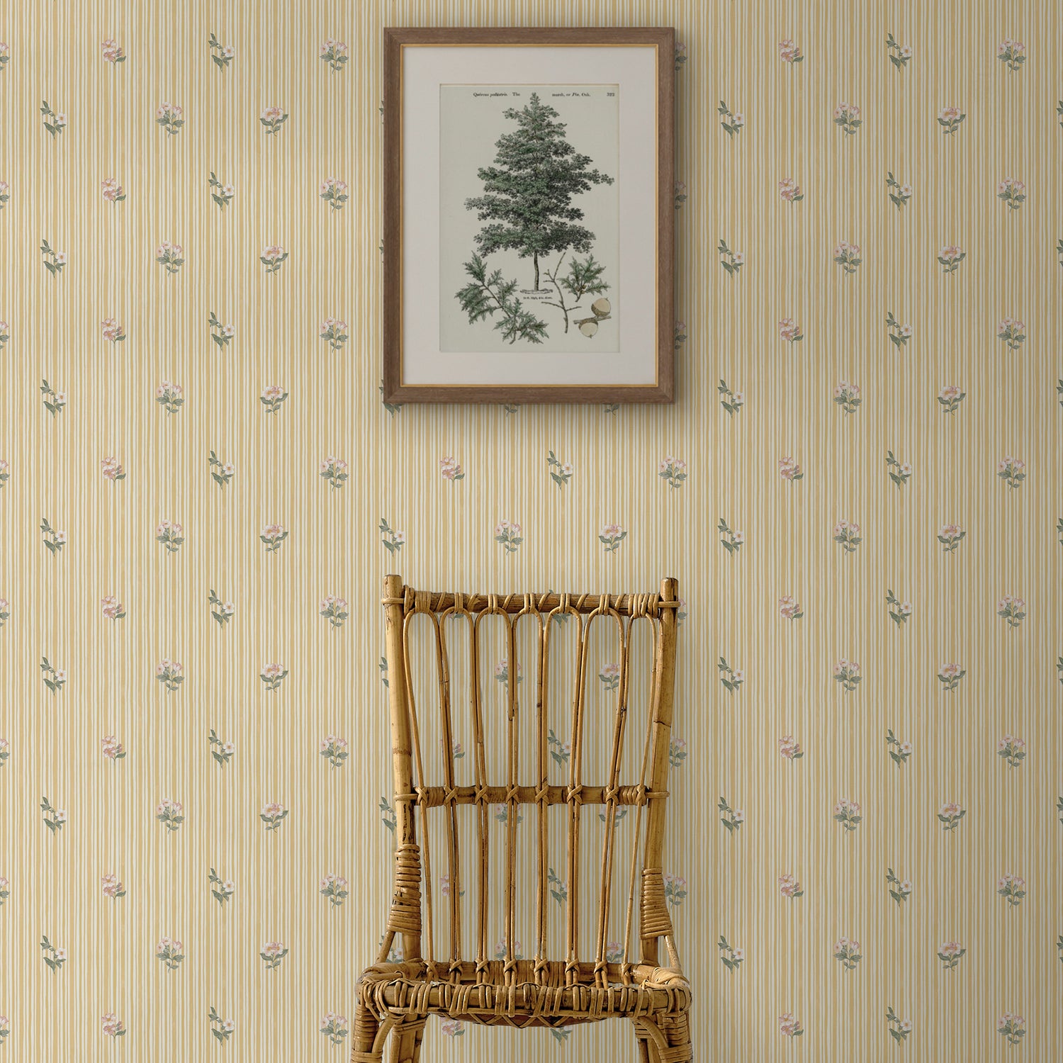 Garden Stripe Wallpaper in ochre color - pattern number 146816 - by Martha Stewart in the Martha Stewart AW26 collection