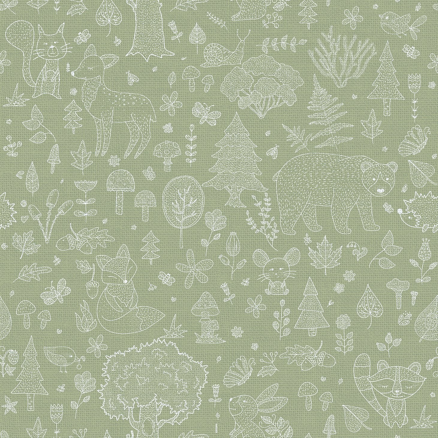 Kids wallpaper in green color - pattern number 14805 - by Galerie in the Little Explorers 2 collection