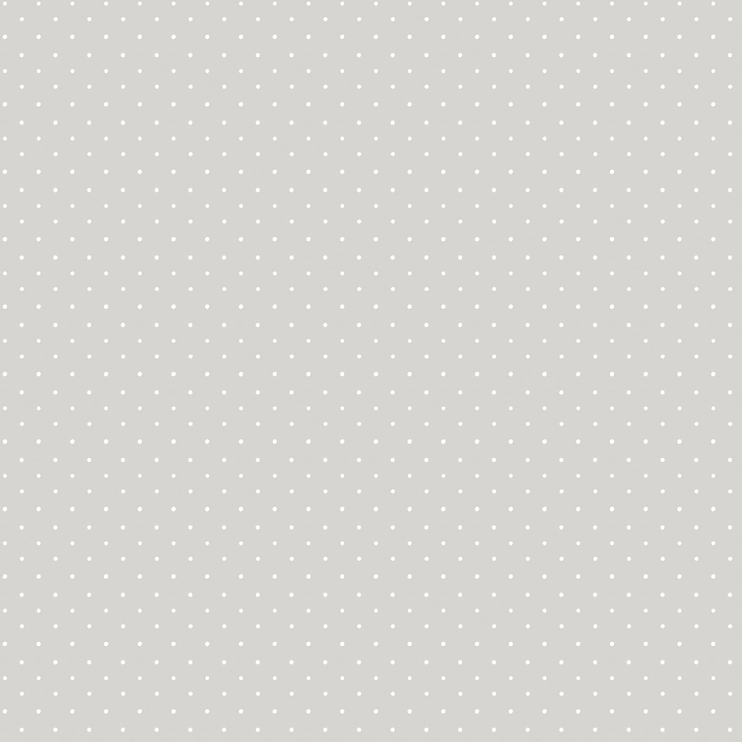Kids wallpaper in silver grey color - pattern number 14863 - by Galerie in the Little Explorers 2 collection