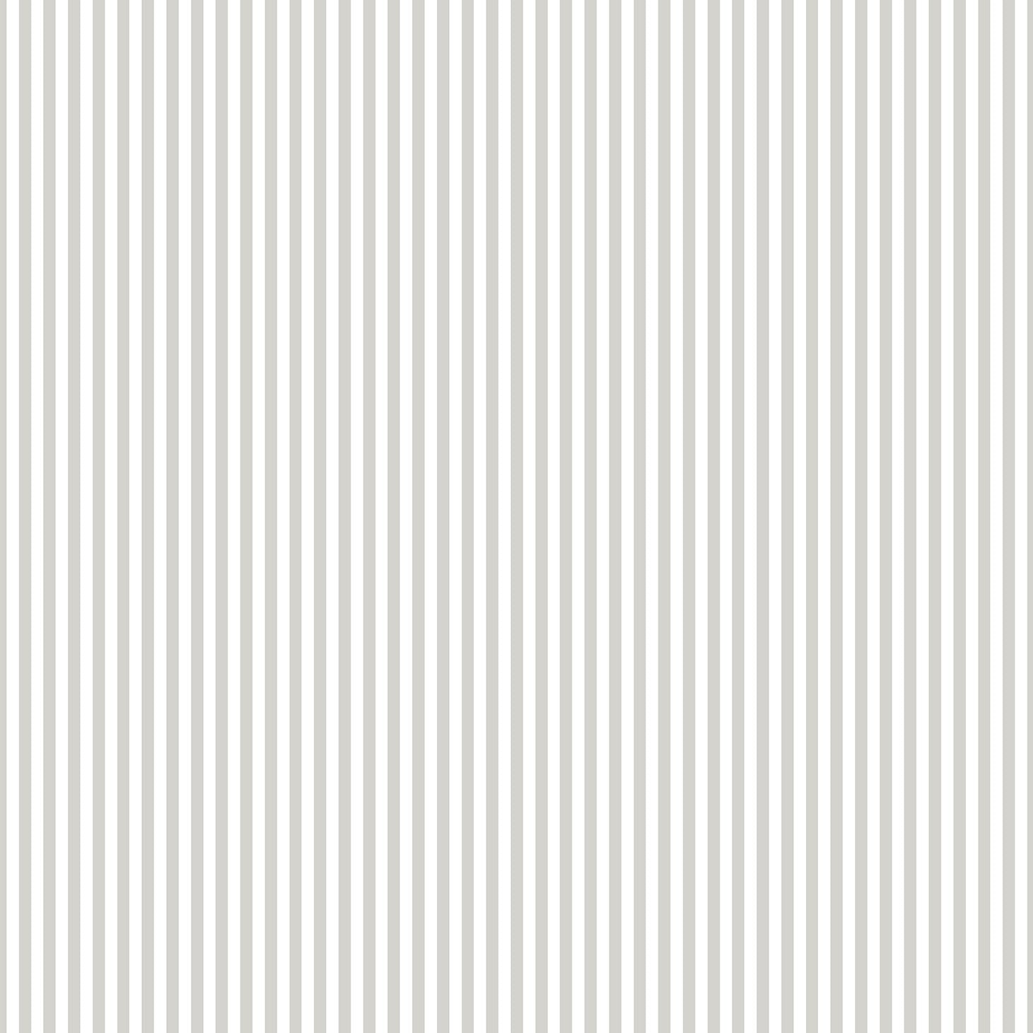 Stripe wallpaper in silver grey color - pattern number 14869 - by Galerie in the Little Explorers 2 collection