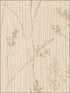 Cow Parsley fabric in cream beige grey color - pattern number TE29371 - by Patton Norwall in the Texture Style 2 collection