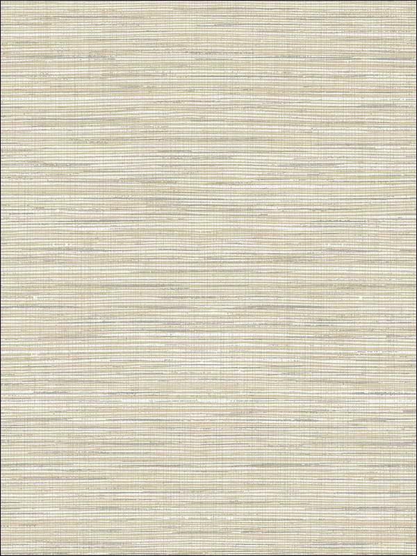 Natural Texture Textile String fabric in warm neutral beige color - pattern number JC20310 - by Wallquest in the Grasseffects collection