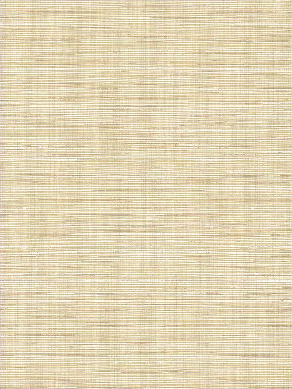 Natural Texture Textile String fabric in warm neutral beige color - pattern number JC20315 - by Wallquest in the Grasseffects collection