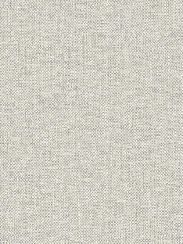 Grass Textile String fabric in warm neutral beige color - pattern number JC20800 - by Wallquest in the Grasseffects collection