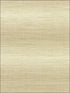 Fine Grass Textile String fabric in gold color - pattern number JC21305 - by Wallquest in the Grasseffects collection