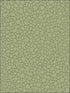 Pebble fabric in dark olive color - pattern number 106/2026.CS.0 - by Cole and Son in the Landscape Plains collection