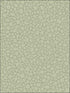 Pebble fabric in sage color - pattern number 106/2027.CS.0 - by Cole and Son in the Landscape Plains collection