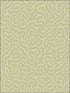 Coral fabric in old olive color - pattern number 106/5067.CS.0 - by Cole and Son in the Landscape Plains collection