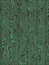 Zebrawood fabric in emerald color - pattern number 107/1001.CS.0 - by Cole and Son in the Curio collection