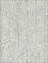 Zebrawood fabric in grey color - pattern number 107/1004.CS.0 - by Cole and Son in the Curio collection