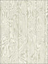 Zebrawood fabric in stone color - pattern number 107/1005.CS.0 - by Cole and Son in the Curio collection