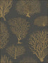Seafern fabric in black and gold color - pattern number 107/2006.CS.0 - by Cole and Son in the Curio collection