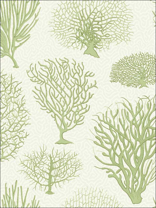 Seafern fabric in soft green color - pattern number 107/2008.CS.0 - by Cole and Son in the Curio collection