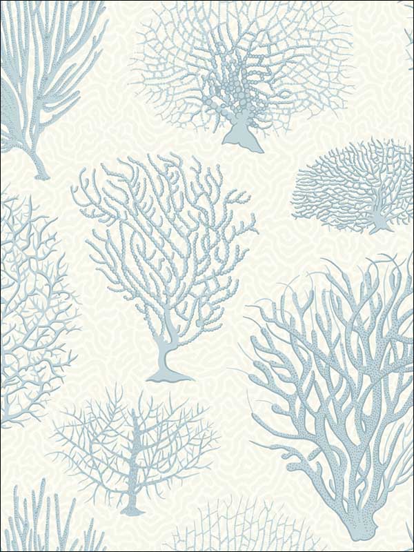 Seafern fabric in blue color - pattern number 107/2009.CS.0 - by Cole and Son in the Curio collection