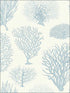Seafern fabric in blue color - pattern number 107/2009.CS.0 - by Cole and Son in the Curio collection