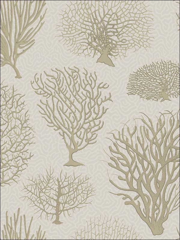 Seafern fabric in stone color - pattern number 107/2010.CS.0 - by Cole and Son in the Curio collection