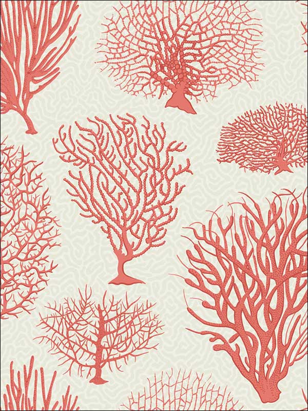 Seafern fabric in coral color - pattern number 107/2011.CS.0 - by Cole and Son in the Curio collection