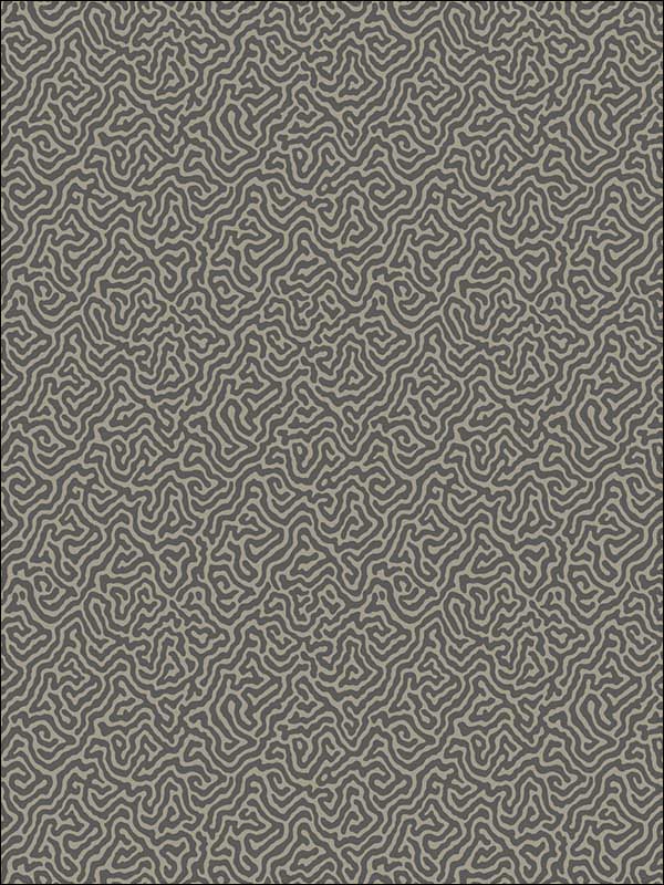 Vermicelli wallpaper in black and linen color - pattern number 107/4017.CS.0 - by Cole and Son in the Curio collection