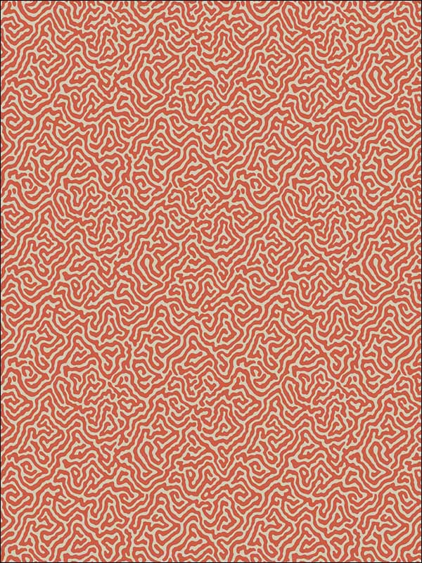Vermicelli wallpaper in coral color - pattern number 107/4018.CS.0 - by Cole and Son in the Curio collection