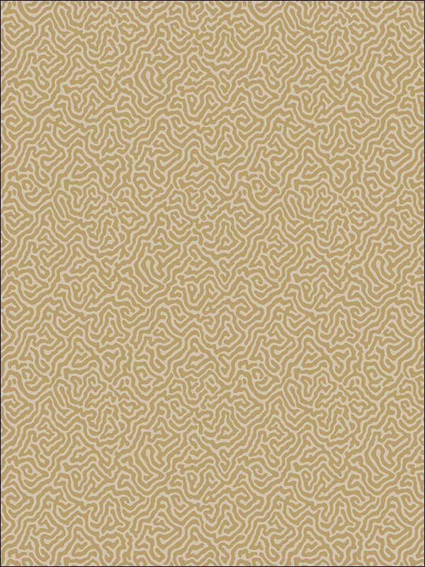 Vermicelli wallpaper in buff and gold color - pattern number 107/4021.CS.0 - by Cole and Son in the Curio collection