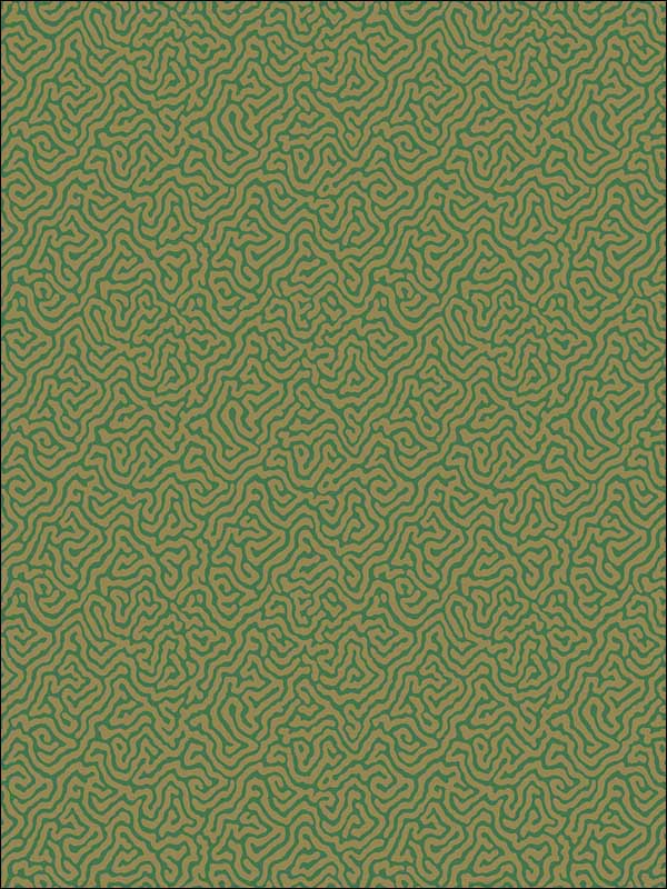 Vermicelli wallpaper in green and gold color - pattern number 107/4022.CS.0 - by Cole and Son in the Curio collection