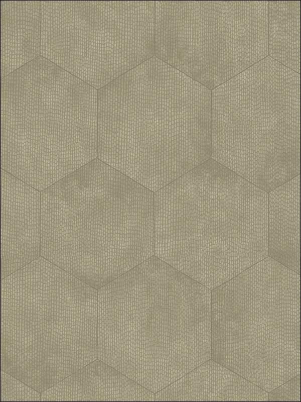 Mineral fabric in linen color - pattern number 107/6029.CS.0 - by Cole and Son in the Curio collection