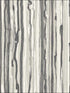 Strand wallpaper in black and white color - pattern number 107/7035.CS.0 - by Cole and Son in the Curio collection
