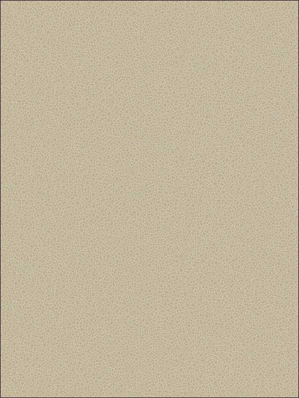 Goldstone fabric in stone and gilver color - pattern number 107/9042.CS.0 - by Cole and Son in the Curio collection