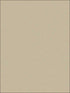 Goldstone fabric in stone and gilver color - pattern number 107/9042.CS.0 - by Cole and Son in the Curio collection