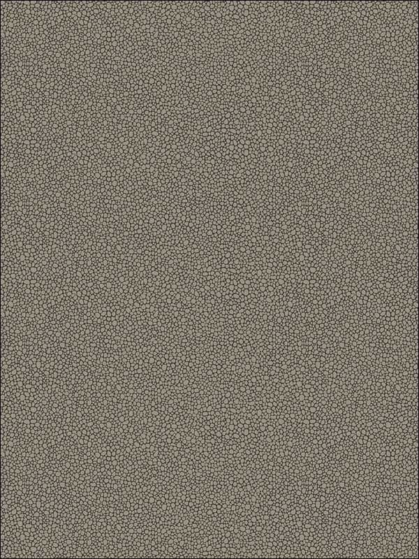 Goldstone fabric in black and silver color - pattern number 107/9043.CS.0 - by Cole and Son in the Curio collection
