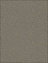 Goldstone fabric in black and silver color - pattern number 107/9043.CS.0 - by Cole and Son in the Curio collection