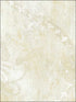 Regal Damask fabric in metallic tan color - pattern number CS27332 - by Patton Norwall in the Classic Silks 2 collection
