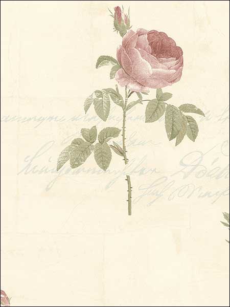 Script Rose fabric in pink beige green color - pattern number CG28861 - by Patton Norwall in the Rose Garden 2 collection