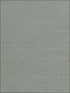 Imperial fabric in green color - pattern number GR1070 - by Ronald Redding in the Grasscloth Resource Natural Wallpapers collection