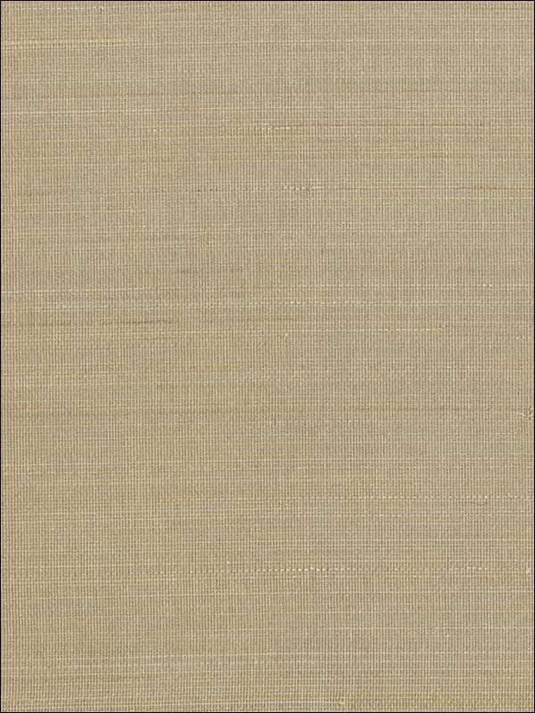 Abaca Weave wallpaper in beige color - pattern number GR1073 - by Ronald Redding in the Grasscloth Resource Natural Wallpapers collection