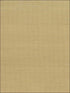 Imperial fabric in light brown color - pattern number SC5835 - by Ronald Redding in the Grasscloth Resource Natural Wallpapers collection