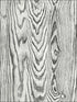 Stone wallpaper in 51300 color - pattern number IR51300 - by Pelican Prints in the Structure collection