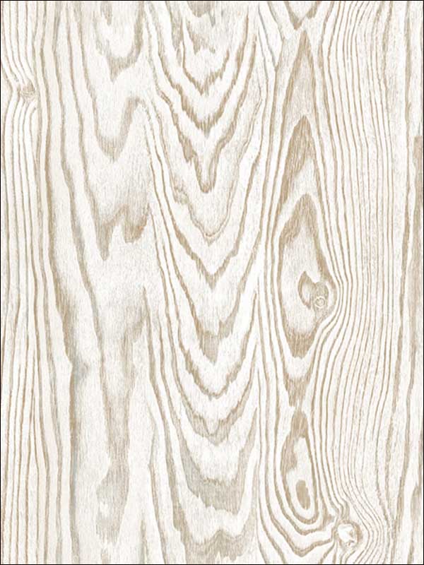 Wood Texture wallpaper in 51306 color - pattern number IR51306 - by Pelican Prints in the Structure collection