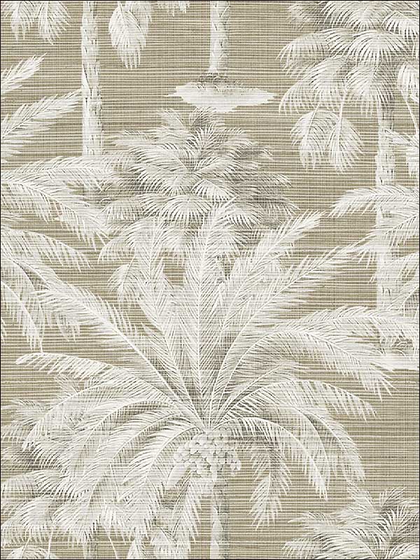 Dream Of Palm Trees Texture fabric in brown color - pattern number PS40007 - by Kenneth James in the Palm Springs collection