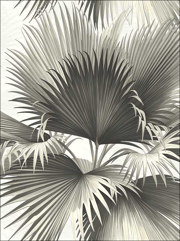 Endless Summer Palm fabric in black color - pattern number PS40100 - by Kenneth James in the Palm Springs collection