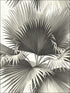 Endless Summer Palm fabric in black color - pattern number PS40100 - by Kenneth James in the Palm Springs collection