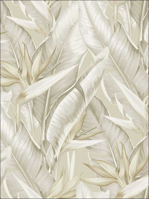 Arcadia Banana Leaf fabric in beige color - pattern number PS40205 - by Kenneth James in the Palm Springs collection