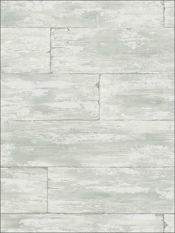 Shipwreck Wood fabric in light grey color - pattern number PS41004 - by Kenneth James in the Palm Springs collection