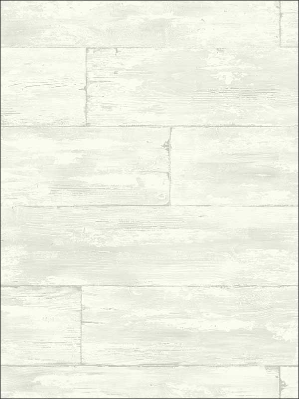 Shipwreck Wood fabric in white color - pattern number PS41010 - by Kenneth James in the Palm Springs collection