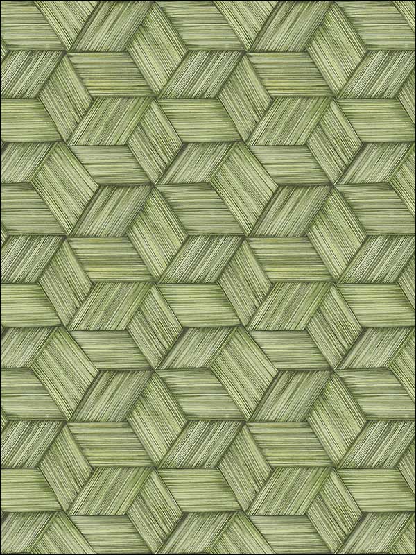 Intertwined Geometric wallpaper in green color - pattern number PS41414 - by Kenneth James in the Palm Springs collection