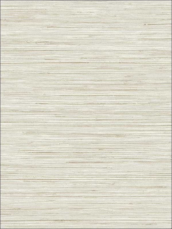 Baja Grass Texture wallpaper in grey color - pattern number PS41506 - by Kenneth James in the Palm Springs collection